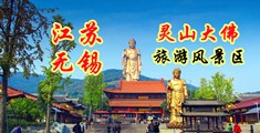 韩国大吊插小bb江苏无锡灵山大佛旅游风景区
