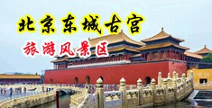 淫男欲女中国北京-东城古宫旅游风景区